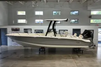 Thumbnail von Boston Whaler 250 Dauntless