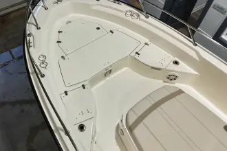 Thumbnail von Boston Whaler 250 Dauntless