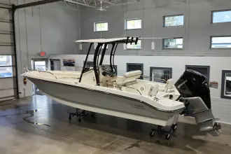 Thumbnail von Boston Whaler 250 Dauntless
