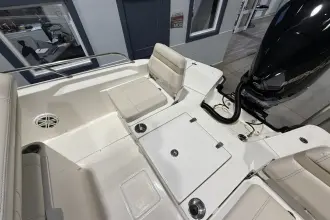 Thumbnail von Boston Whaler 250 Dauntless