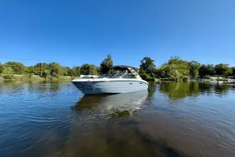 Thumbnail von Sea Ray SDX 250