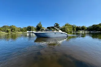 Thumbnail von Sea Ray SDX 250
