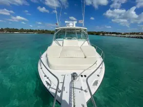 Thumbnail von Grady White Express 360  BONA VITA