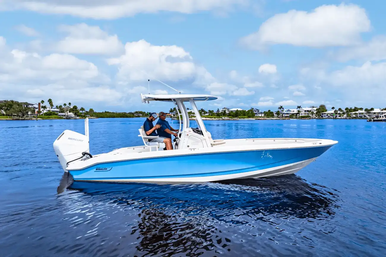 Boston Whaler 250 Dauntless