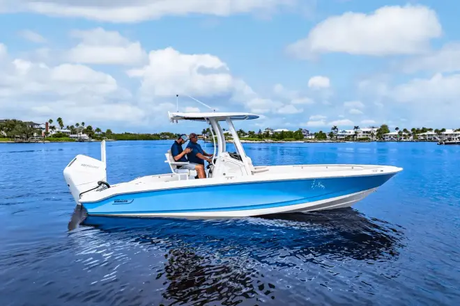 Boston Whaler 250 Dauntless