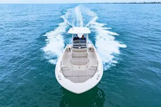Thumbnail von Boston Whaler 250 Dauntless