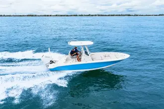 Thumbnail von Boston Whaler 250 Dauntless