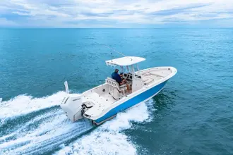 Thumbnail von Boston Whaler 250 Dauntless