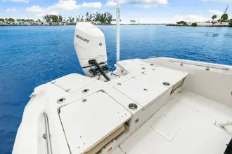 Thumbnail von Boston Whaler 250 Dauntless