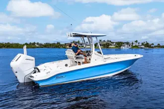 Thumbnail von Boston Whaler 250 Dauntless