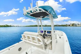 Thumbnail von Boston Whaler 250 Dauntless