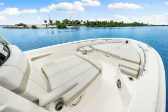 Thumbnail von Boston Whaler 250 Dauntless