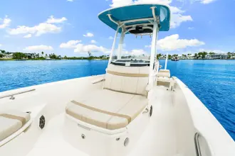 Thumbnail von Boston Whaler 250 Dauntless