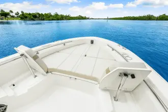 Thumbnail von Boston Whaler 250 Dauntless