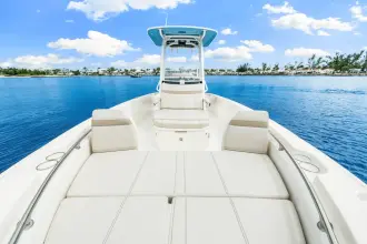 Thumbnail von Boston Whaler 250 Dauntless