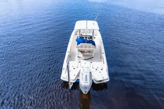 Thumbnail von Boston Whaler 250 Dauntless