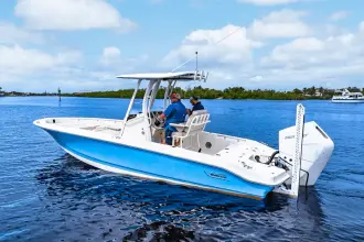 Thumbnail von Boston Whaler 250 Dauntless