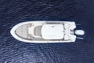 Thumbnail von Boston Whaler 250 Dauntless