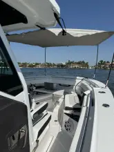 Thumbnail von Blackfin 302 CC