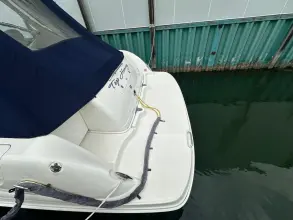 Thumbnail von Sea Ray 420 Sundancer TOP HEAVY