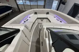 Thumbnail von Sea Ray SDX 230 Surf