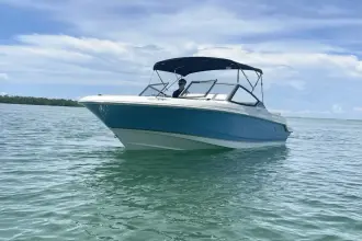 Thumbnail von Boston Whaler 210 Vantage
