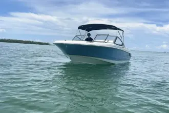 Thumbnail von Boston Whaler 210 Vantage