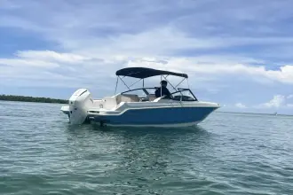 Thumbnail von Boston Whaler 210 Vantage