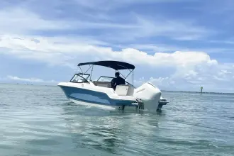 Thumbnail von Boston Whaler 210 Vantage