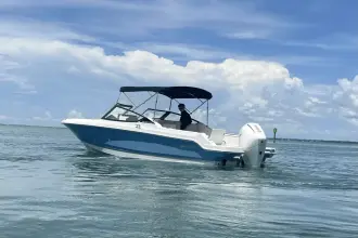 Thumbnail von Boston Whaler 210 Vantage