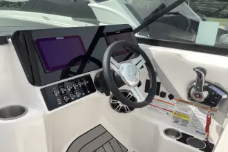 Thumbnail von Sea Ray SDX 250