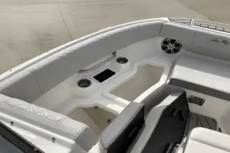 Thumbnail von Sea Ray SDX 250