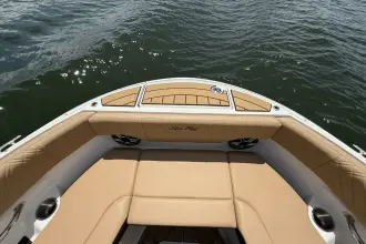 Thumbnail von Sea Ray SDX 230 Surf