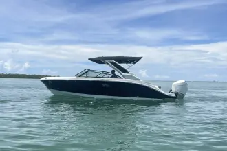 Thumbnail von Sea Ray SDX 230 Außenborder