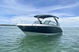 Thumbnail von Sea Ray SDX 230 Außenborder