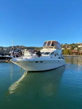 Thumbnail von Sea Ray 400 SEDAN BRIDGE