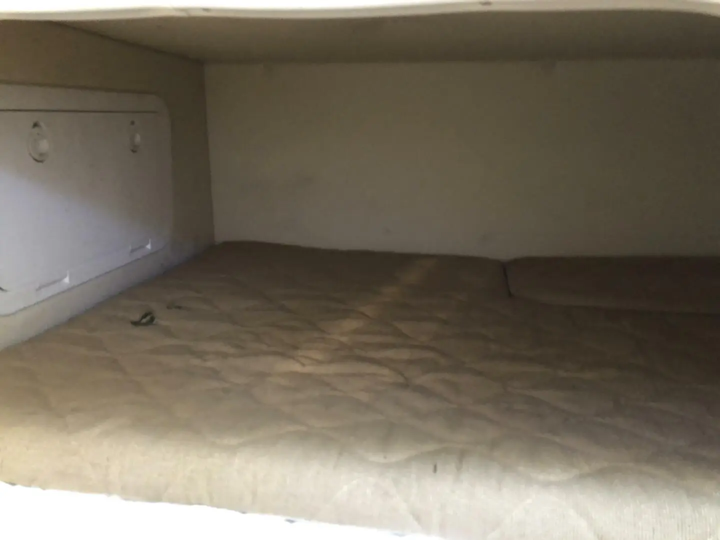 Thumbnail von Pursuit OS 335