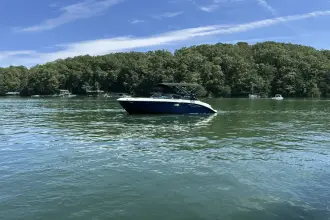 Thumbnail von シー レイ SDX 230 サーフ