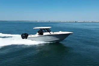 Thumbnail von Scout 305 LXF