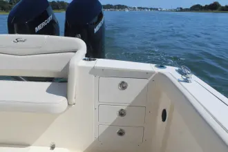 Thumbnail von Scout 305 LXF