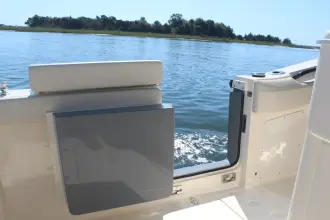 Thumbnail von Scout 305 LXF