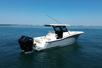 Thumbnail von Scout 305 LXF