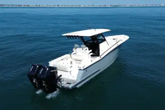 Thumbnail von Scout 305 LXF