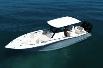 Thumbnail von Scout 305 LXF