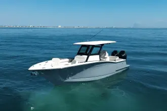 Thumbnail von Scout 305 LXF