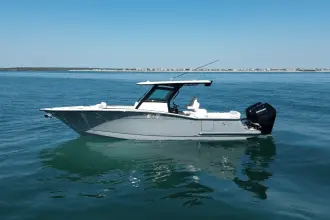 Thumbnail von Scout 305 LXF