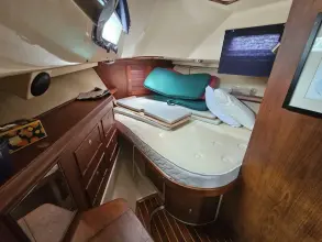 Thumbnail von Island Packet 44 Loafer's Glory II