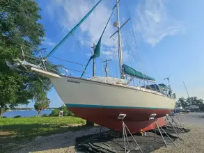 Thumbnail von Island Packet 44 Loafer's Glory II