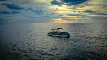 Thumbnail von Vision V30