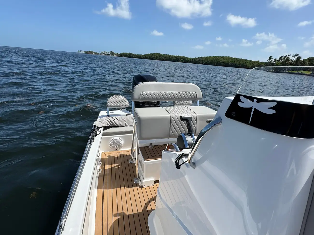 Thumbnail von Dragonfly 21 Spanish Well